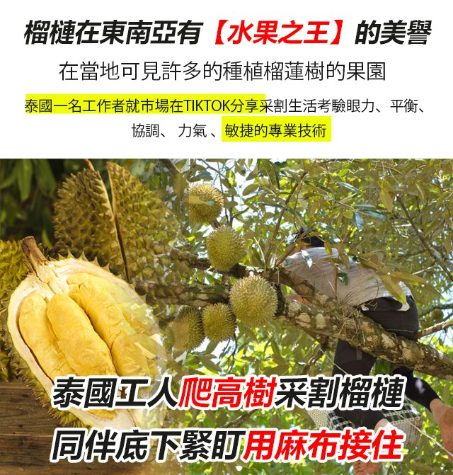 8c645646e0320b88afe733e8d22e6d9.png
